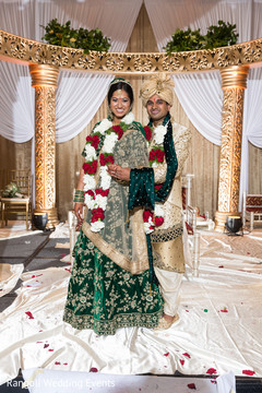 photo #268625 photo #268625
