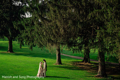photo #269133 photo #269133