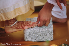 photo #269676 photo #269676
