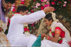 photo #269678 photo #269678