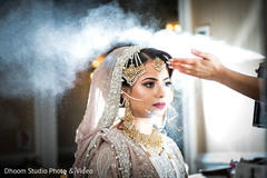 photo #269739 photo #269739