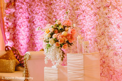 photo #269830 photo #269830