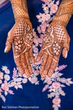 photo #270209 photo #270209