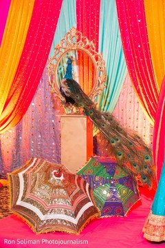 photo #270257 photo #270257