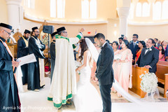 photo #270554 photo #270554
