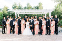 Outdoors Indian couple with birdesmaids and groomsmen capture. Outdoors Indian couple with birdesmaids and groomsmen capture.