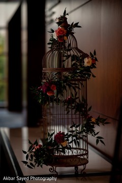 photo #270714 photo #270714