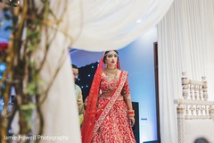 photo #271029 photo #271029