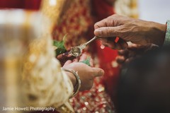 photo #271032 photo #271032
