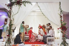 photo #271033 photo #271033