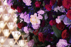 Roses decoration for the photo session. Roses decoration for the photo session.