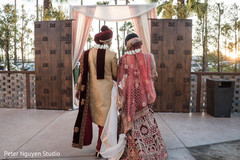 photo #271719 photo #271719