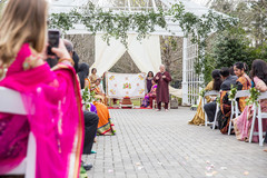 photo #271794 photo #271794