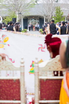 photo #271816 photo #271816
