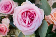 Indian wedding roses decorations. Indian wedding roses decorations.