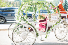 photo #273329 photo #273329
