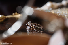 photo #273374 photo #273374