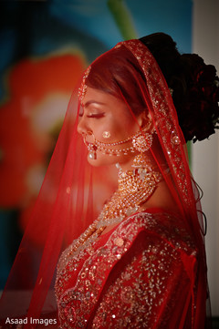 photo #273381 photo #273381