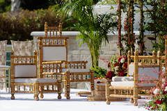photo #273389 photo #273389