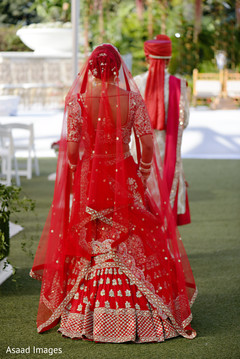 photo #273394 photo #273394