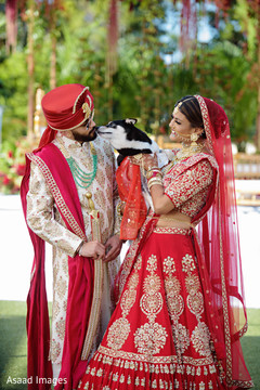 photo #273405 photo #273405