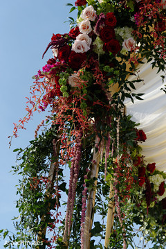 photo #273407 photo #273407