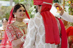photo #273432 photo #273432