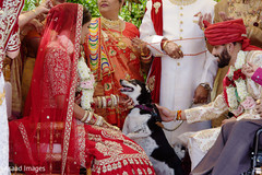 photo #273433 photo #273433