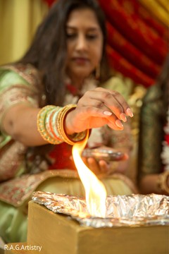 photo #273582 photo #273582