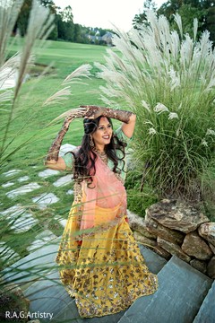 photo #273589 photo #273589