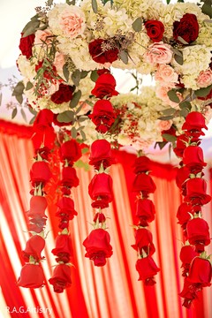 photo #273660 photo #273660