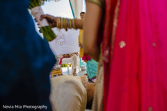 photo #273913 photo #273913