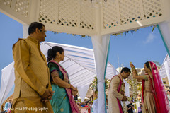photo #273915 photo #273915