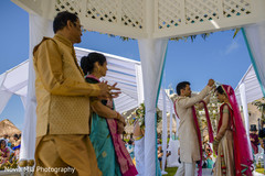 photo #273916 photo #273916