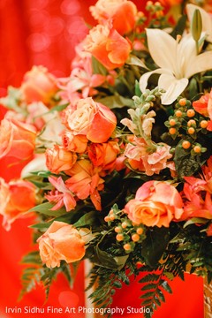 photo #273950 photo #273950