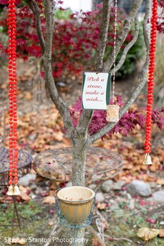 photo #274420 photo #274420