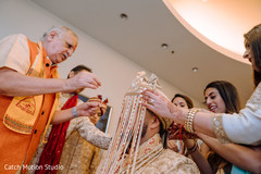 photo #274537 photo #274537