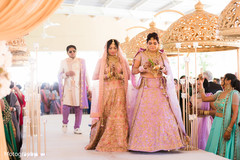 photo #275245 photo #275245