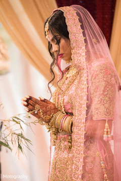 photo #275247 photo #275247