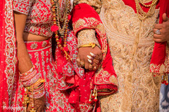 photo #275282 photo #275282