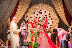 photo #275287 photo #275287