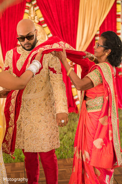 photo #275294 photo #275294