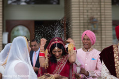 photo #275333 photo #275333