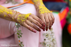 photo #275384 photo #275384