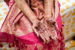 photo #275663 photo #275663