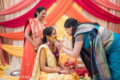 photo #275673 photo #275673