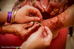 photo #275822 photo #275822