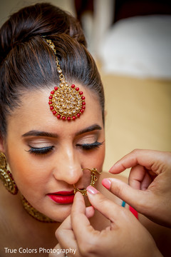 photo #275823 photo #275823