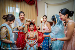photo #275826 photo #275826