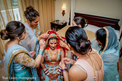 photo #275828 photo #275828